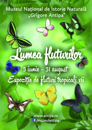LUMEA FLUTURILOR, la Muzeul Antipa LUMEA FLUTURILOR, la Muzeul Antipa